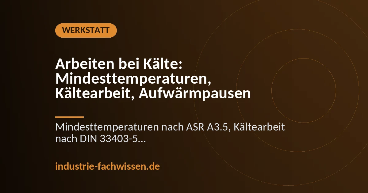 Lagermitarbeiter in Kälteschutzjacke und gefütterten Handschuhen kommissioniert Ware an einem geöffneten Hallentor bei Schneefall